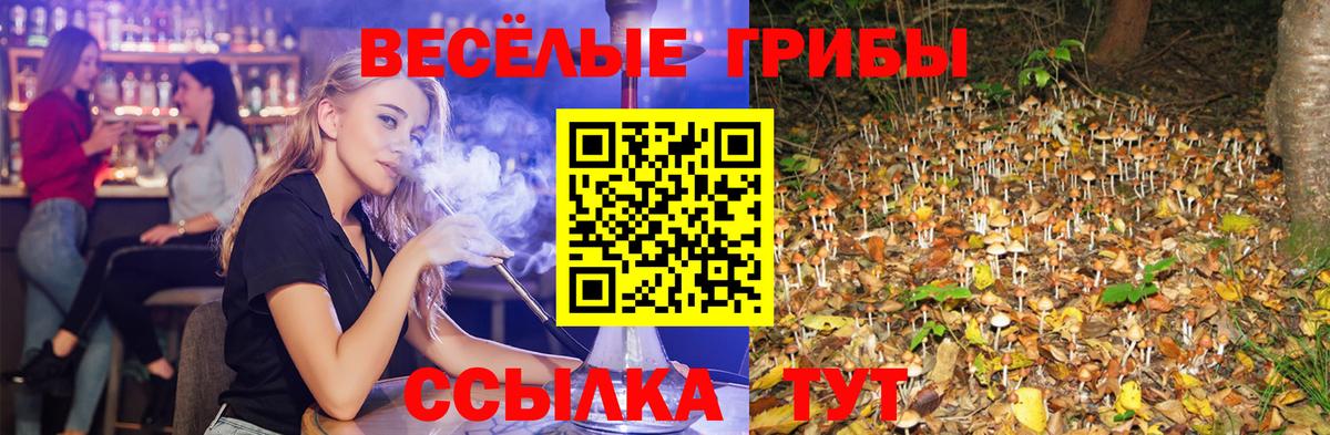 Чистополь  Псилоцибиновые грибы прущие грибы  Вход с VPN 