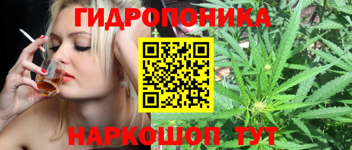Марихуана LSD WEED  Шишки марихуана LSD WEED  Вход с VPN  Марихуана индика  Чистополь 